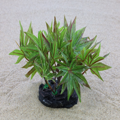 식물2095 검정받침+단풍나무잎초록(NHA12-2)