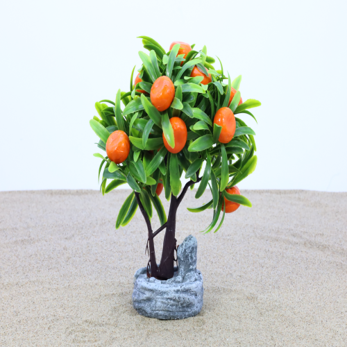 식물2030 감 과일나무(대)